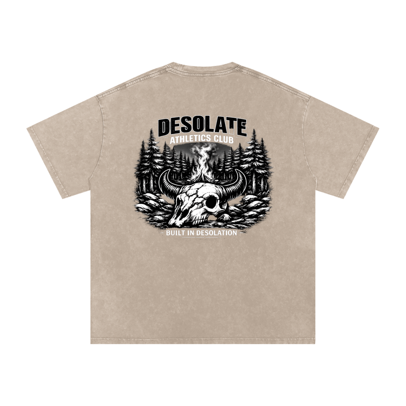 Snow Washed Oversized Cotton T-Shirt